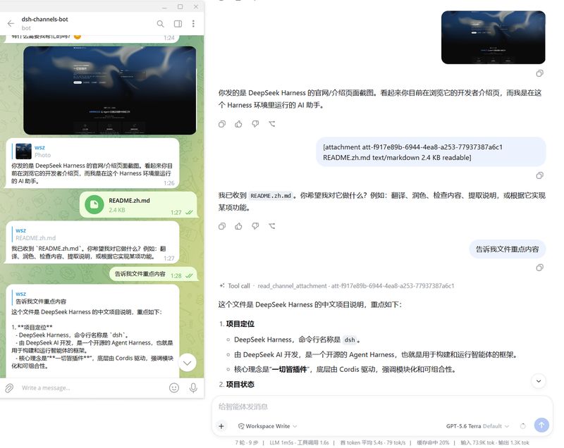 wsz987/dsh-channels 截图预览