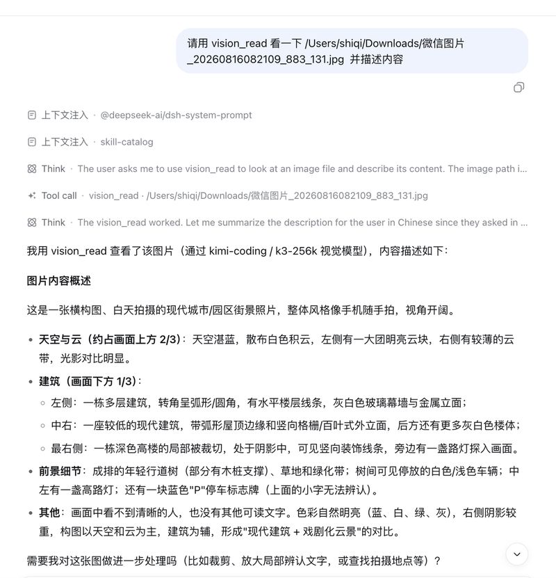 Mappedinfo/dsh-tool-vision-read 截图预览